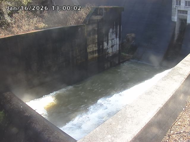 賀祥ダム１（下流）2026/01/16 15:50:00