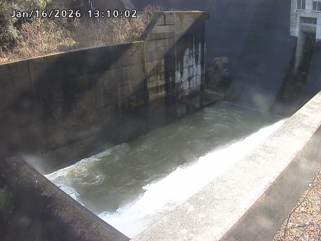 賀祥ダム１（下流）2026/01/16 15:50:00