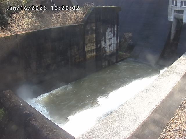 賀祥ダム１（下流）2026/01/16 15:50:00