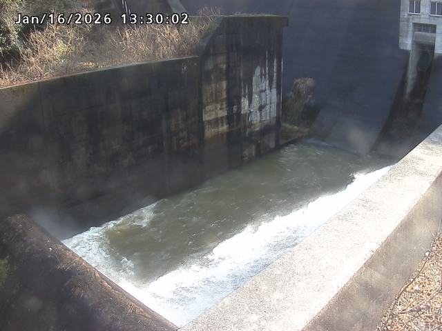 賀祥ダム１（下流）2026/01/16 15:50:00