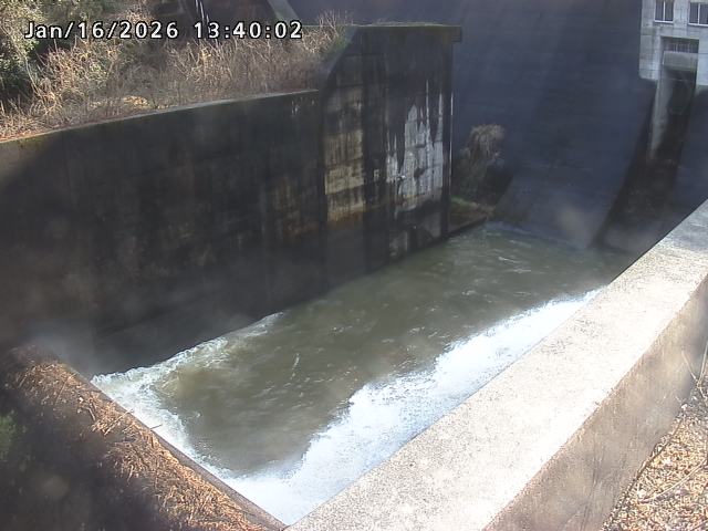 賀祥ダム１（下流）2026/01/16 15:50:00