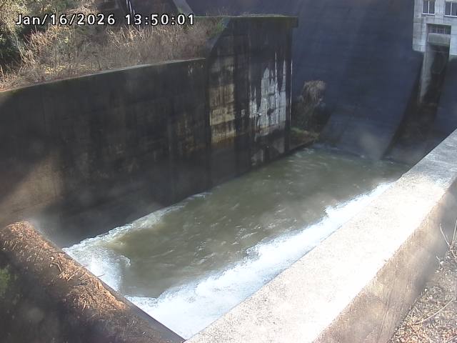 賀祥ダム１（下流）2026/01/16 15:50:00