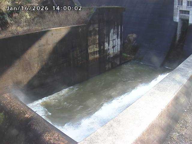 賀祥ダム１（下流）2026/01/16 15:50:00