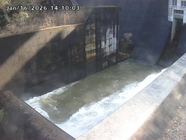 賀祥ダム１（下流）2026/01/16 15:50:00