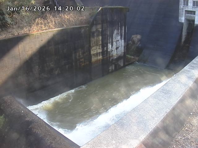 賀祥ダム１（下流）2026/01/16 15:50:00