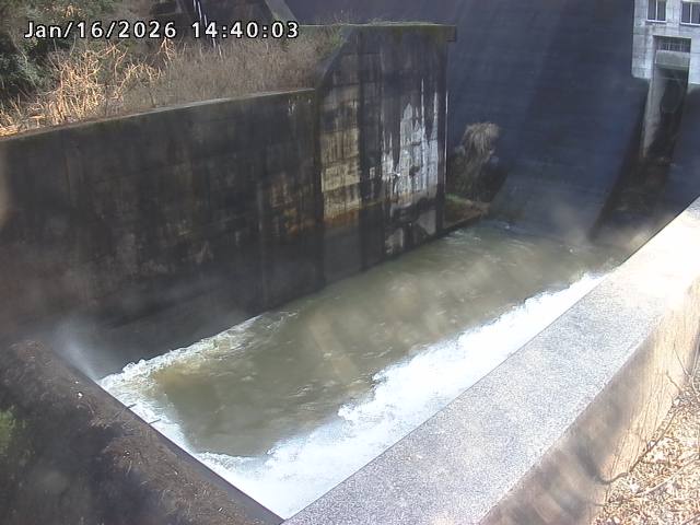 賀祥ダム１（下流）2026/01/16 15:50:00