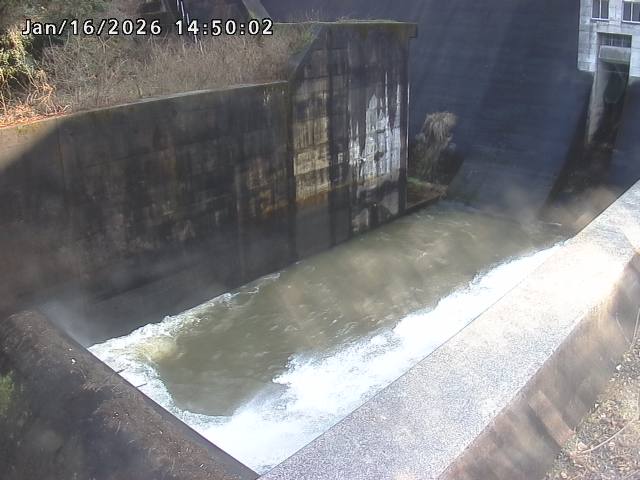 賀祥ダム１（下流）2026/01/16 15:50:00