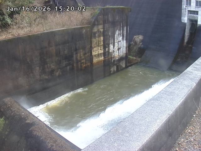 賀祥ダム１（下流）2026/01/16 15:50:00