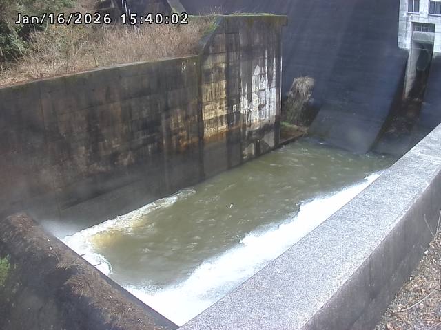 賀祥ダム１（下流）2026/01/16 15:50:00