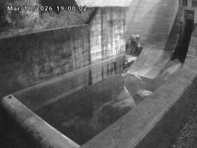 賀祥ダム１（下流）2026/03/11 16:10:00
