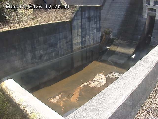 賀祥ダム１（下流）2026/03/11 16:10:00