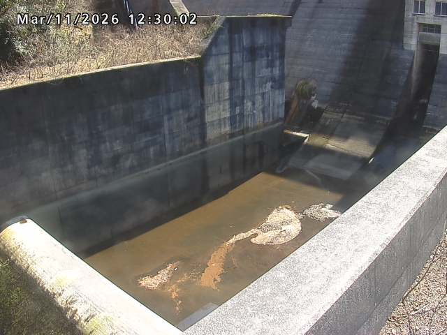 賀祥ダム１（下流）2026/03/11 16:10:00