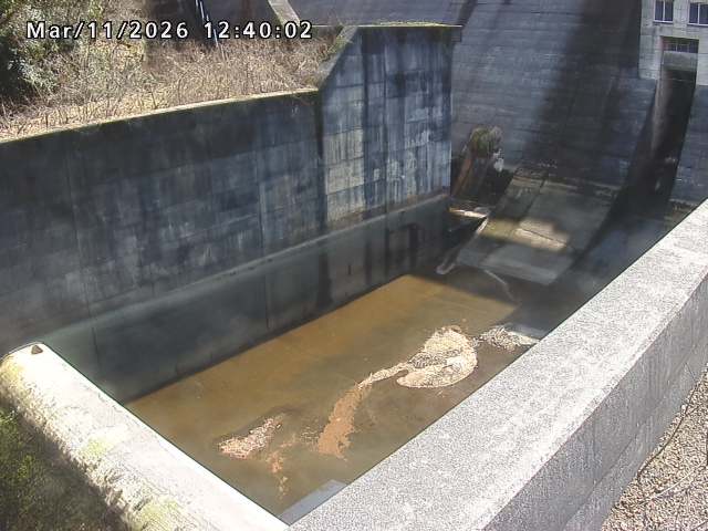 賀祥ダム１（下流）2026/03/11 16:10:00
