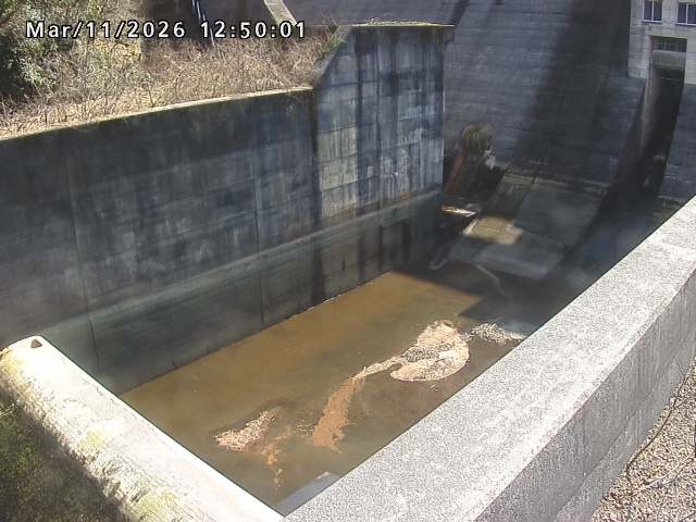 賀祥ダム１（下流）2026/03/11 16:10:00