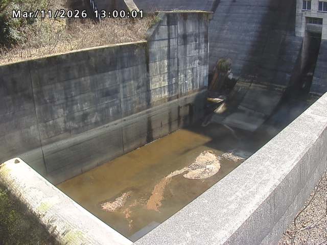 賀祥ダム１（下流）2026/03/11 16:10:00