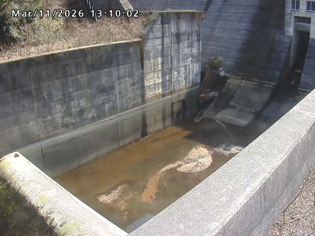賀祥ダム１（下流）2026/03/11 16:10:00