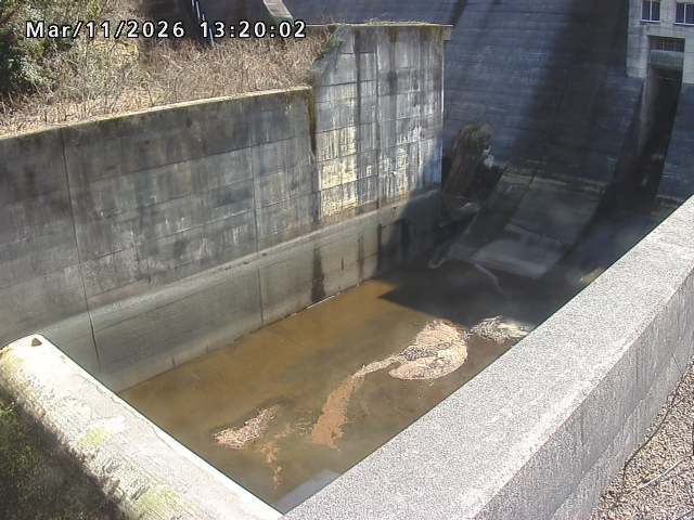 賀祥ダム１（下流）2026/03/11 16:10:00