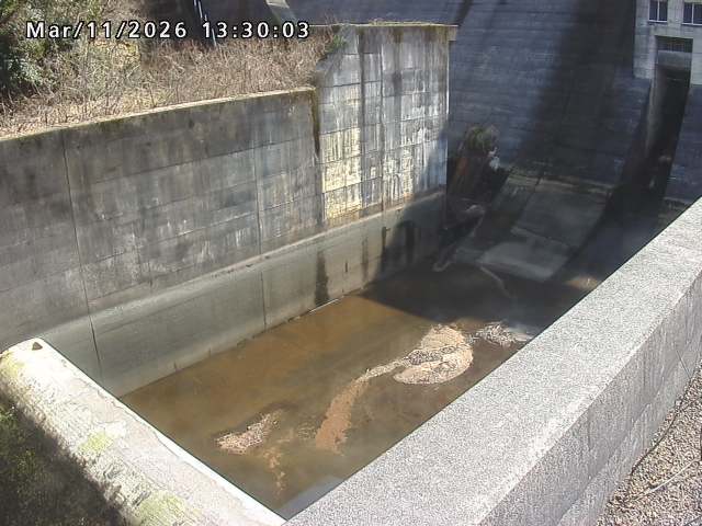 賀祥ダム１（下流）2026/03/11 16:10:00