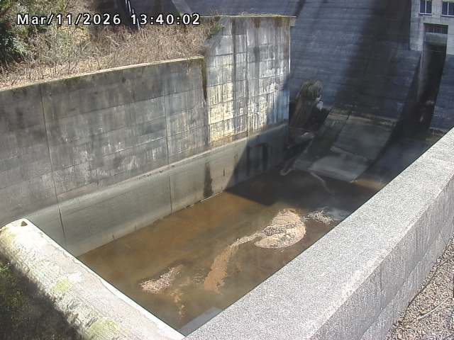 賀祥ダム１（下流）2026/03/11 16:10:00