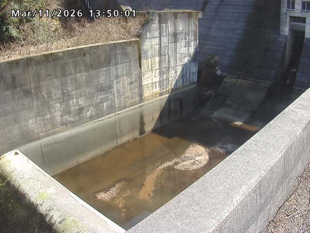 賀祥ダム１（下流）2026/03/11 16:10:00