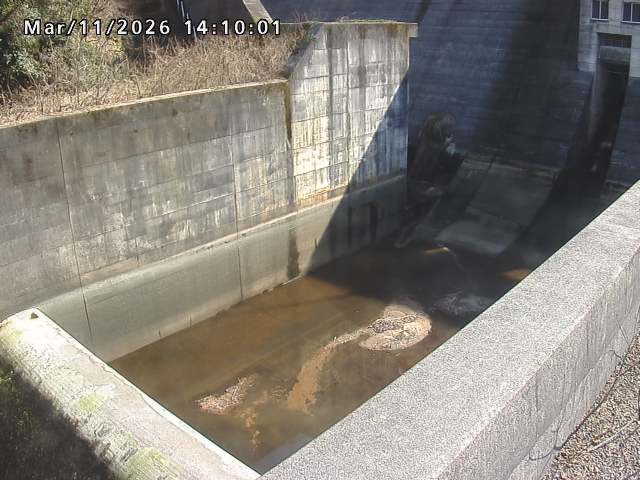 賀祥ダム１（下流）2026/03/11 16:10:00