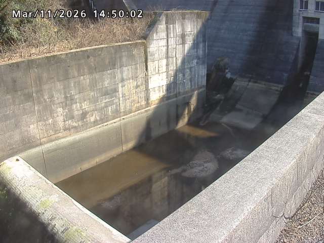 賀祥ダム１（下流）2026/03/11 16:10:00
