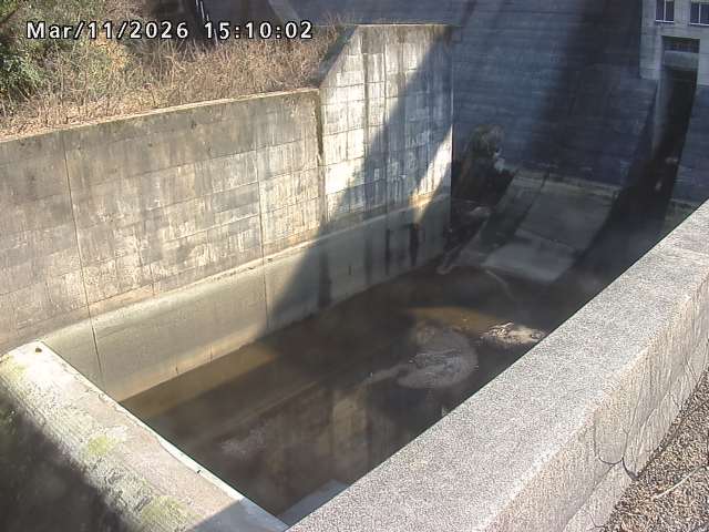 賀祥ダム１（下流）2026/03/11 16:10:00