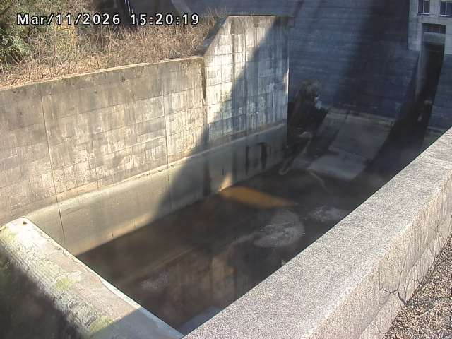 賀祥ダム１（下流）2026/03/11 16:10:00