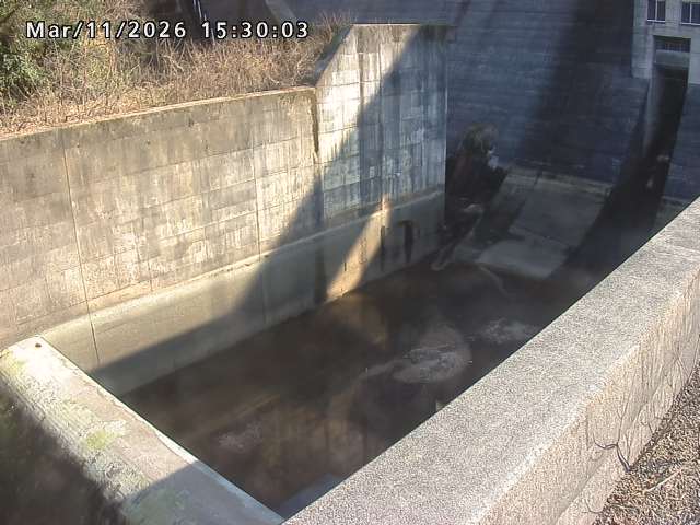 賀祥ダム１（下流）2026/03/11 16:10:00