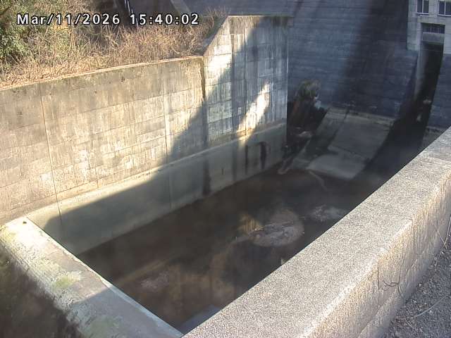 賀祥ダム１（下流）2026/03/11 16:10:00