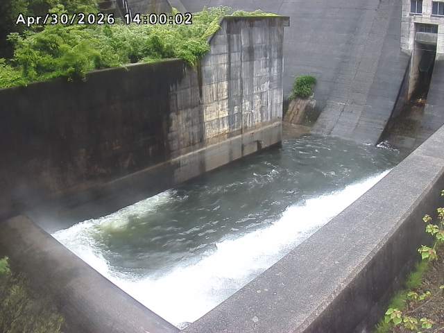 賀祥ダム１（下流）2026/05/01 14:20:00