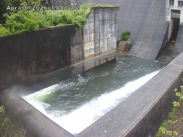 賀祥ダム１（下流）2026/05/01 14:20:00