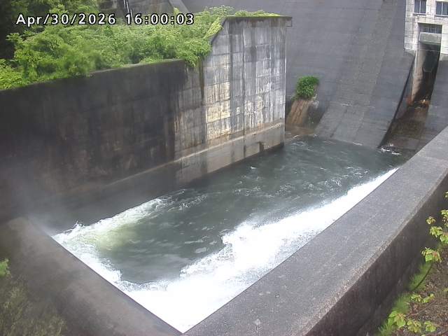 賀祥ダム１（下流）2026/05/01 14:20:00