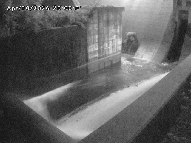 賀祥ダム１（下流）2026/05/01 14:20:00