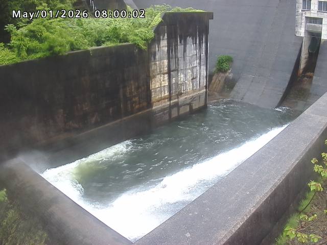 賀祥ダム１（下流）2026/05/01 14:20:00