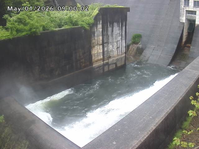 賀祥ダム１（下流）2026/05/01 14:20:00