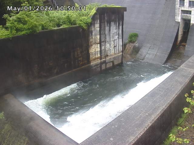賀祥ダム１（下流）2026/05/01 14:20:00