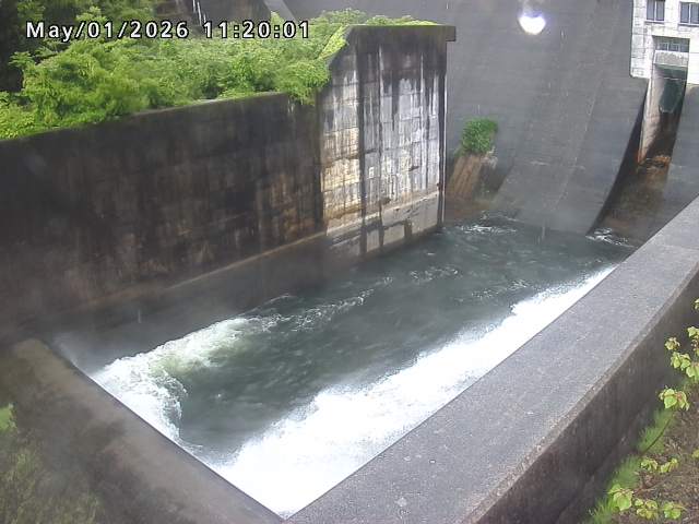 賀祥ダム１（下流）2026/05/01 14:20:00