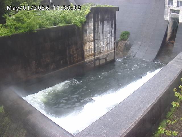 賀祥ダム１（下流）2026/05/01 14:20:00