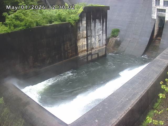賀祥ダム１（下流）2026/05/01 14:20:00