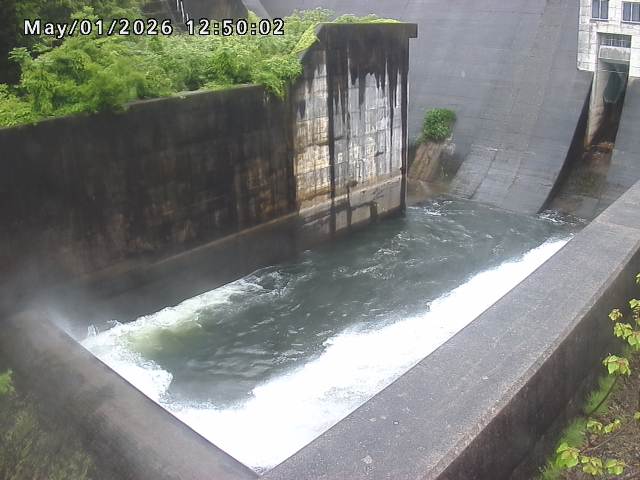 賀祥ダム１（下流）2026/05/01 14:20:00