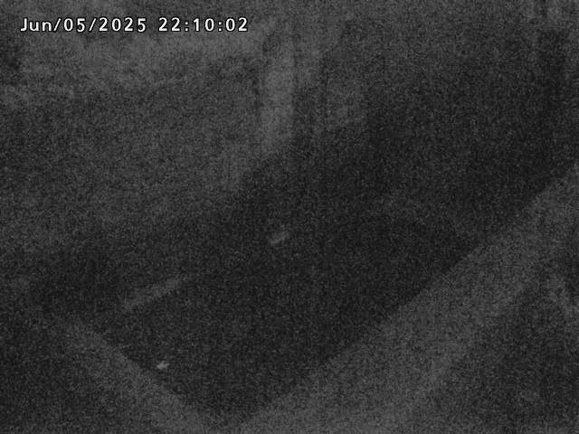 賀祥ダム１（下流）2025/06/06 1:40:00