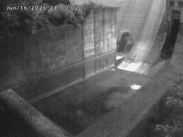賀祥ダム１（下流）2026/06/17 13:10:00