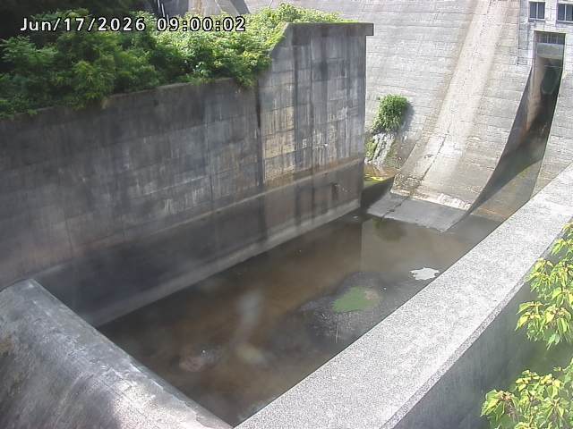 賀祥ダム１（下流）2026/06/17 13:10:00