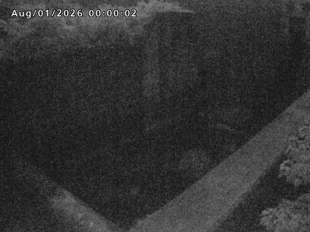 賀祥ダム１（下流）2026/08/01 21:20:00