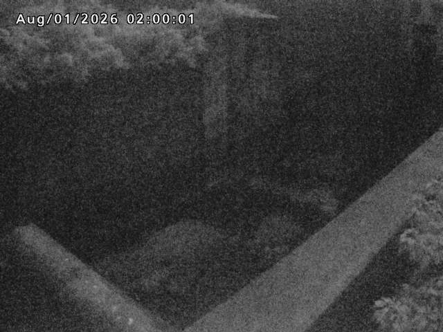 賀祥ダム１（下流）2026/08/01 21:20:00