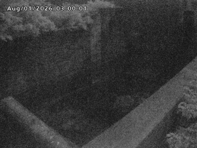 賀祥ダム１（下流）2026/08/01 21:20:00