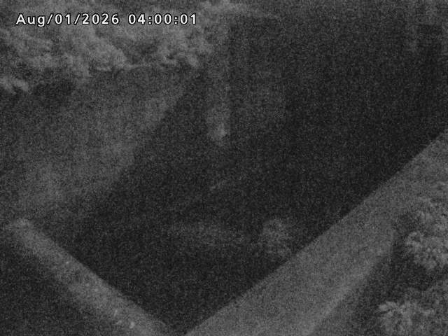 賀祥ダム１（下流）2026/08/01 21:20:00