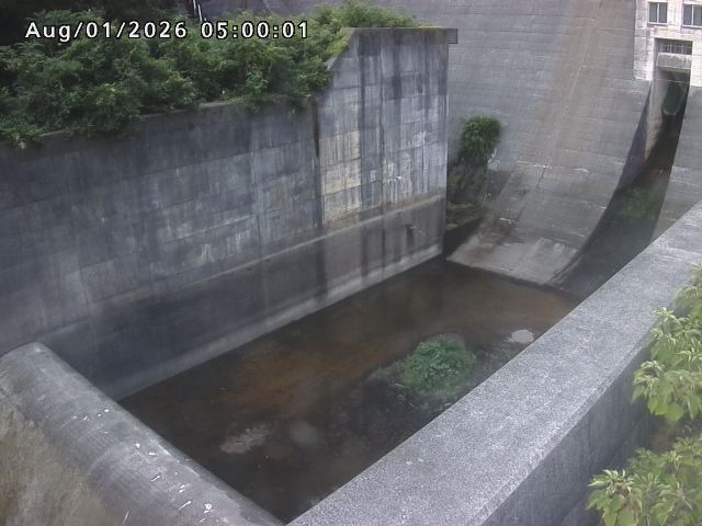 賀祥ダム１（下流）2026/08/01 21:20:00