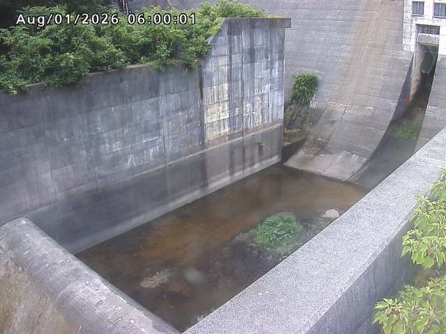 賀祥ダム１（下流）2026/08/01 21:20:00